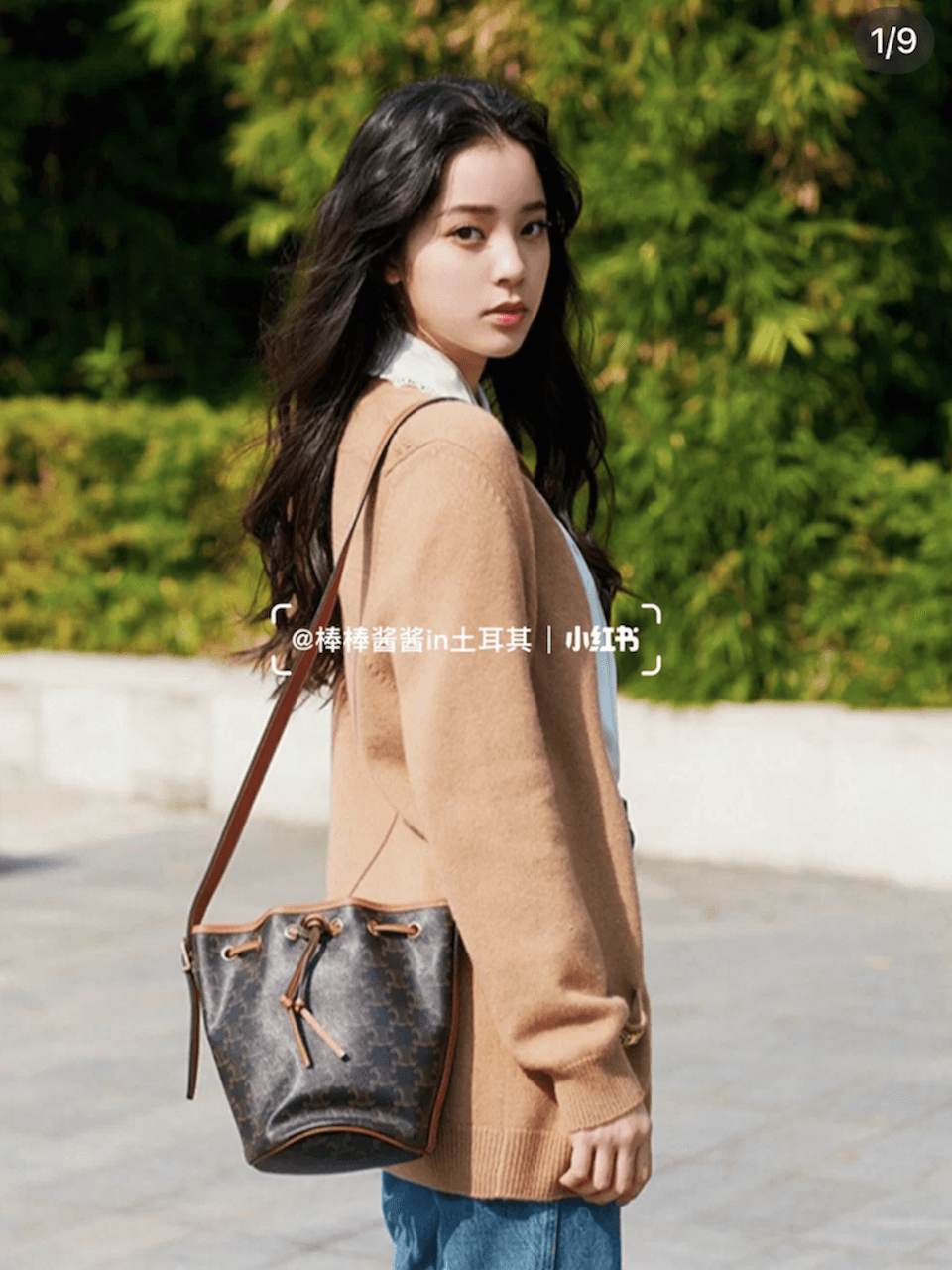celine bag image